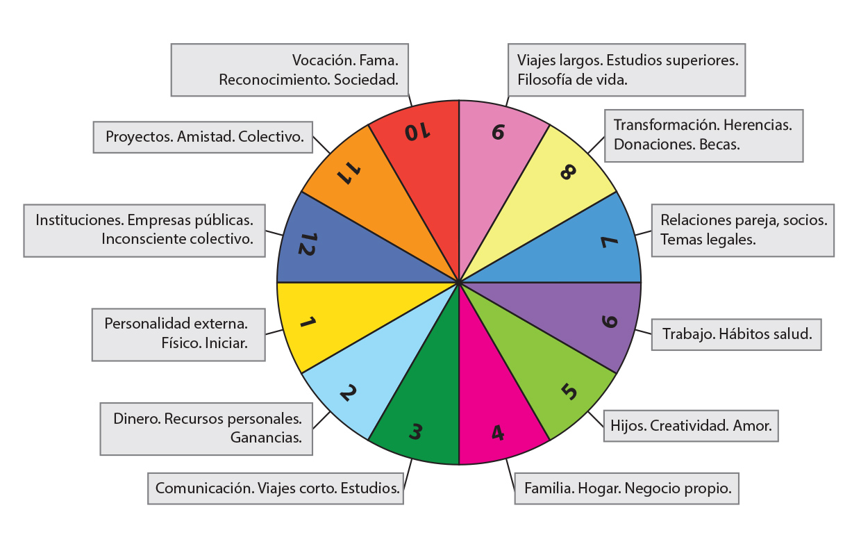 Rueda Vida Coaching Rueda Coaching Sesión 2 Horas Ver Tu Vida De Forma Holistica Pilar 0593